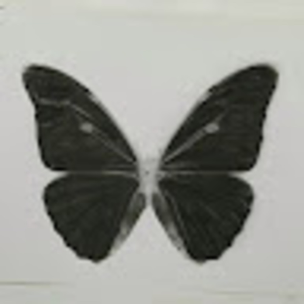 Meet your Posher, Karla.3sp